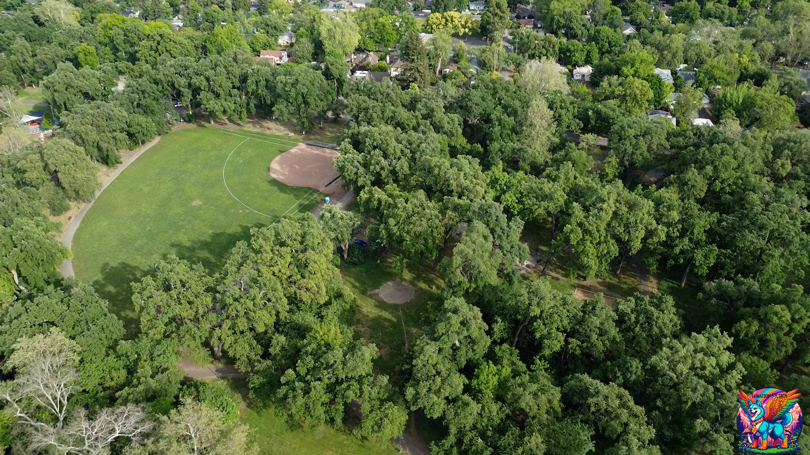 Aerial view of a sports event